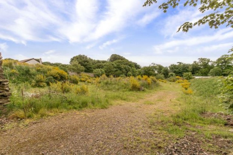 Images for The Walled Garden Development Site, Tealing, Dundee