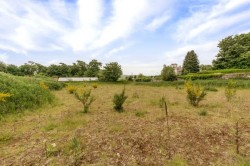 Images for The Walled Garden Development Site, Tealing, Dundee