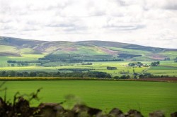 Images for Snawdon Lodge Cottage, Gifford, Haddington, East Lothian