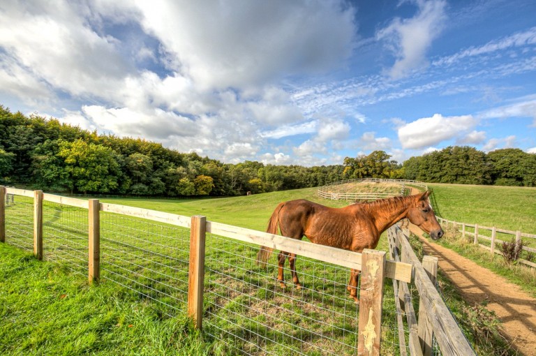 Images for Sandpit Lane, Brentwood, Essex, CM14